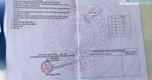 Chỉ Cần