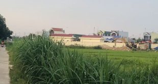 Đất vườn nghĩa kỳ huyện tư nghĩa