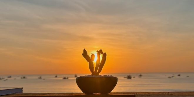 LÔ ĐẤT MẶT BIỂN DÀI 20M TẠI AN CƯỜNG – BÌNH SƠN – QUẢNG NGÃI CHỈ 1.45 TỶ