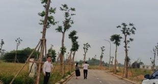 Lô hướng nam đối diện khu biệt thự sạch đẹp không lỗi lầm không mua quá tiếc ạ.