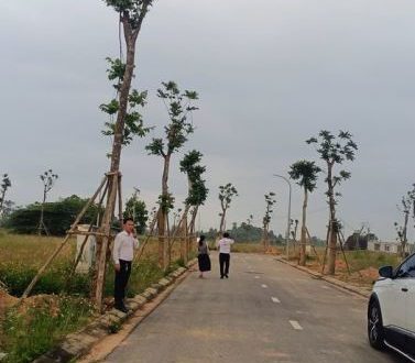 Lô hướng nam đối diện khu biệt thự sạch đẹp không lỗi lầm không mua quá tiếc ạ.