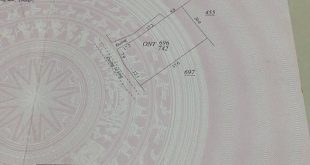 Tôi chính chủ cần bán nhà tại Thôn An Bàn, Phổ Quang, Thị Xã Đức Phổ, Quảng Ngãi, DT 742m2