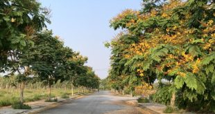 Bán  vị trí mặt tiền trục thoáng VSIP Quảng Ngãi  giá đầu tư