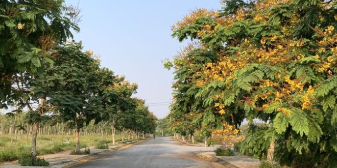 Bán  vị trí mặt tiền trục thoáng VSIP Quảng Ngãi  giá đầu tư