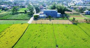 Cần ra lô đất 250m2 sát KDC An Lộc Phát - đường ôtô - giá rẻ hơn đất KDC