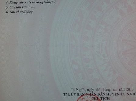 Chính chủ bán lô đất thổ cư 2 mặt tiền đường Xã Nghĩa Hà, Quảng Ngãi