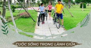 KHU A [ KHU DỊCH VỤ HỖN HỢP VSIP] - TRỤC ĐƯỜNG KINH DOANH HIỆN HỮU SẦM UẤT TẠI TỊNH PHONG