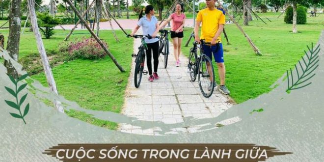 KHU A [ KHU DỊCH VỤ HỖN HỢP VSIP] - TRỤC ĐƯỜNG KINH DOANH HIỆN HỮU SẦM UẤT TẠI TỊNH PHONG