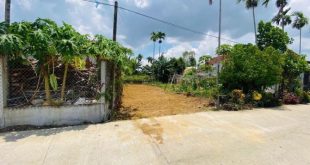 ĐẤT VIEW SÔNG CẦU PHỦ, 100m2, đường ô tô vi vu
