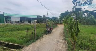 ĐẤT TRUNG TÂM XÃ TỊNH THỌ - GẦN CHỢ, TRƯỜNG HỌC, GẦN KCN VSIP - GIÁ 3XX