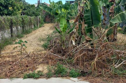 Bán Lô đất Chí Nguyện ,  Bình Trung , Bình Sơn Quảng Ngãi 5x24m
