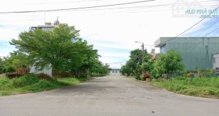 ???? Cơ Hội Vàng Tại KDC Hà Mỹ Á - 02 Lô Liền Kề_TX Đức Phổ_Hướng Đông Tài Lộc !