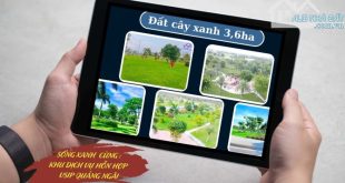 KHU DỊCH VỤ HỖN HỢP VSIP QUẢNG NGÃI - CƠ HỘI ĐẦU TỪ VÀ AN CƯ ĐẲNG CẤP