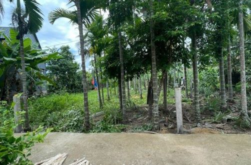 cần bán đất hành minh giáp ranh chợ chùa
