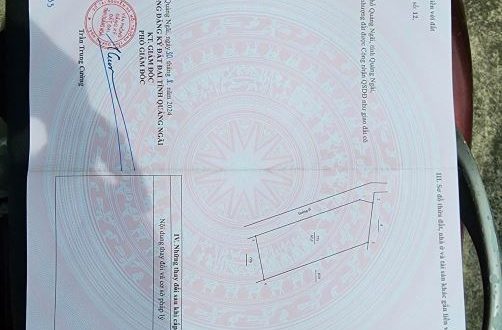 BÁN LÔ ĐẤT GIÁ RẺ HẺM TRƯỜNG CHINH GIÁ 550 TRIỆU