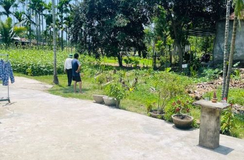 Cần Bán Mảnh Vườn Đức Tân 453m2 full đất ở
