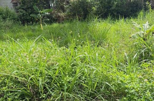 Cần bán lô đất bình Hiệp gần VSIP 1,2 quảng ngãi