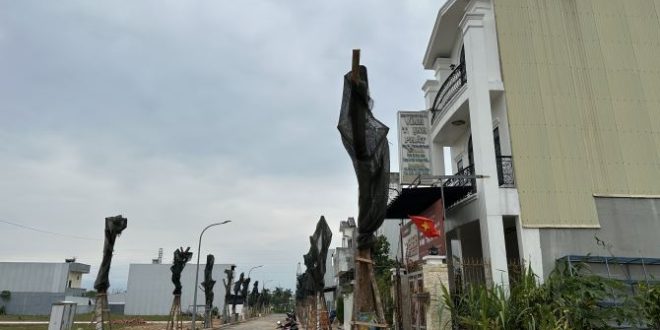 ???? GIÁ ĐẦU TƯ ???? Đất KĐT Phú Mỹ gần Go Market và Công viên Thiên Bút - TP. Quảng Ngãi