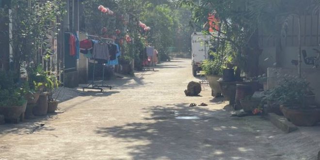 HẺM HOÀNG HOA THÁM SÂN BAY QUẢNG PHÚ