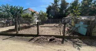 BÁN ĐẤT Tịnh Hoà gần trường tiểu học Tịnh Hoà, Quảng Ngãi đường bê tông 4m giá 450tr