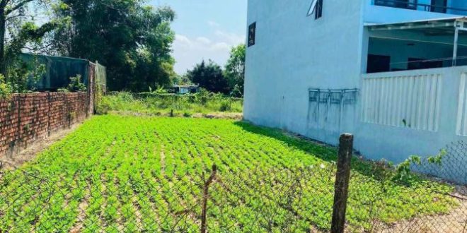 BÁN LÔ ĐẤT HẺM 363 NGUYỄN TRÃI ĐƯỜNG OTO TẢI TRUNG TÂM TP QUẢNG NGÃI